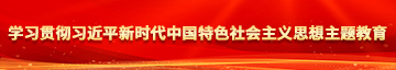 舔男童的小鸡鸡视频学习贯彻习近平新时代中国特色社会主义思想主题教育