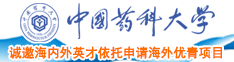 内射烧逼中国药科大学诚邀海内外英才依托申请海外优青项目